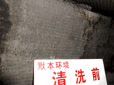 盘管清洗-2